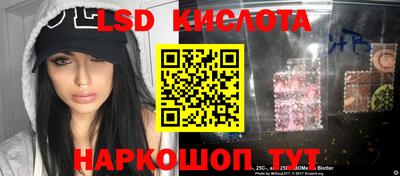 МДПВ Кингисепп