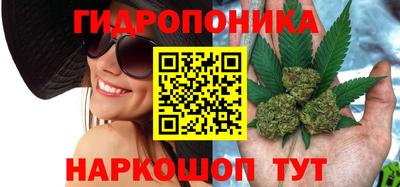 прущие грибы Кинель