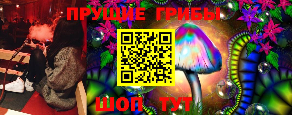 Псилоцибиновые грибы GOLDEN TEACHER Кызыл