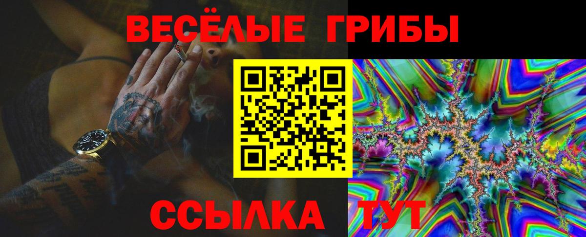 Кызыл  Галлюциногенные грибы GOLDEN TEACHER  Вход с VPN 